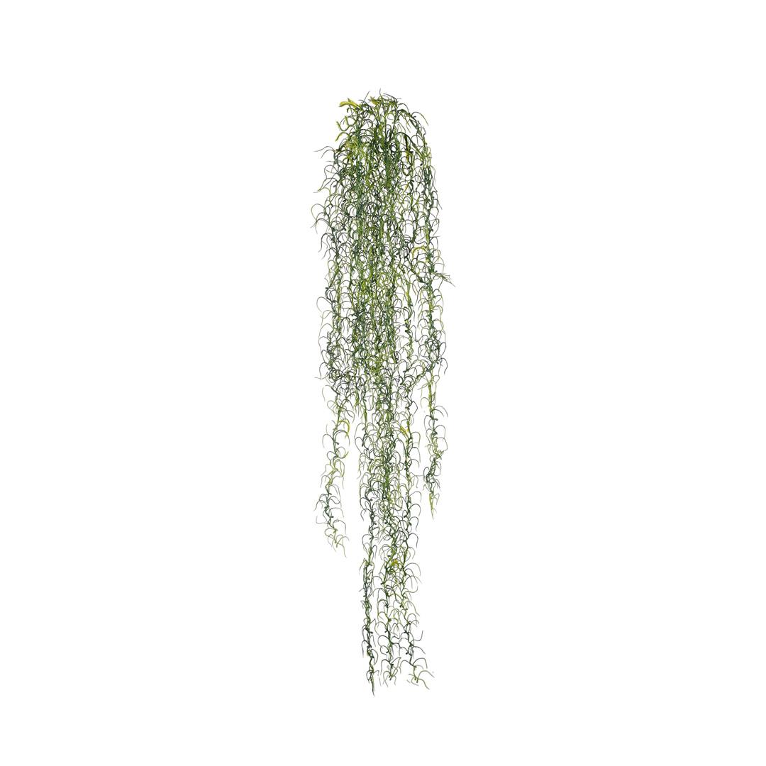 1-COLGANTE TILLANDSIA 100CM COLGANTE TILLANDSIA 100CM