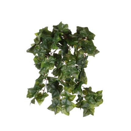 MATA COLGANTE HIEDRA