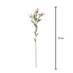 VARA CHILI BOOMING 70CM *SURTIDO