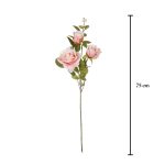 ROSA GRANDIFLORA X3 *SALMON