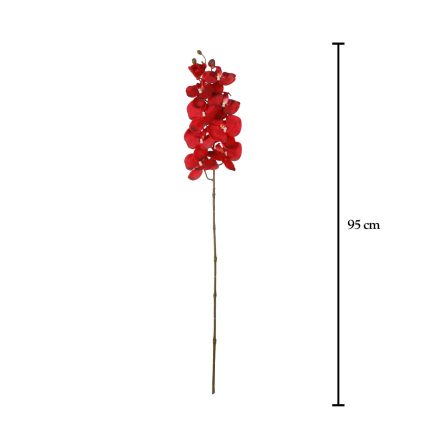 PHALENOPSIS AURA *ROJO