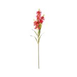 VARA LILY X3 *FUXIA