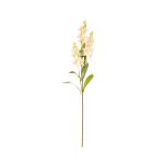 VARA LILY X3 *FUXIA