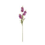 VARA LILY X3 *FUXIA