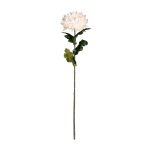 VARA DALIA 74CM