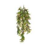 CUERNO DE ARCE 80CM