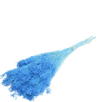 BROOMS PRESS.