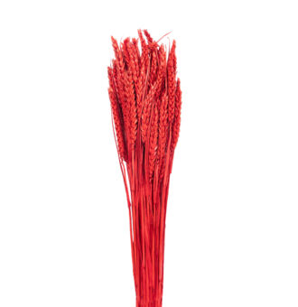 TRIGO FLO