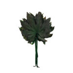 ARALIA PRES.