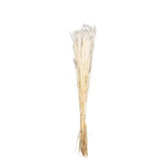 OURO 60CM