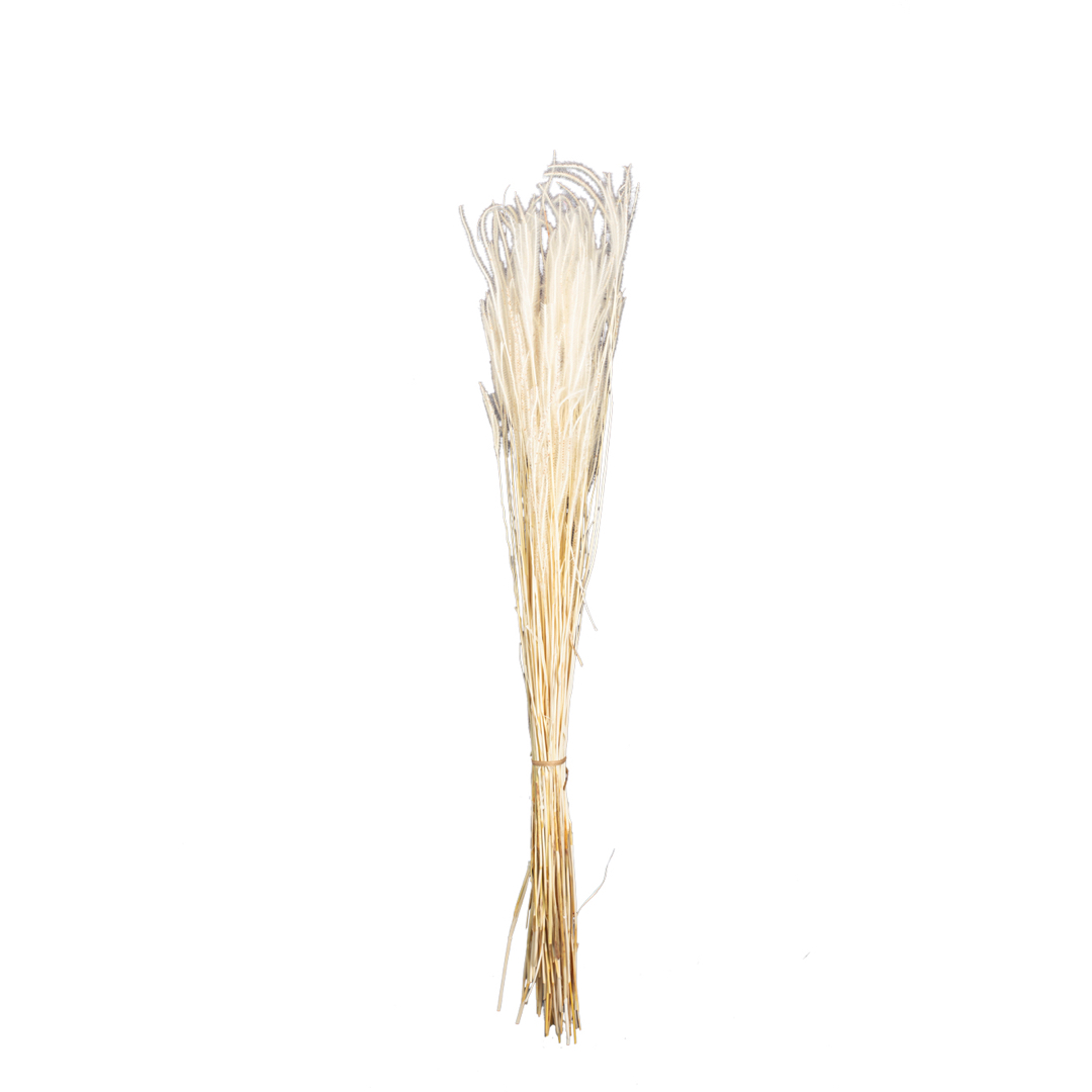 000.224-0.jpg OURO 60CM