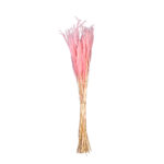 OURO 60CM