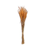 OURO 60CM