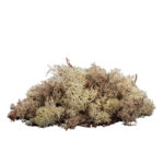 MUSGO FINLANDES 30GRS