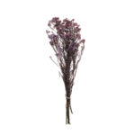 RICE FLOWER PRES