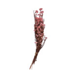 RICE FLOWER PRES