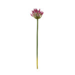 BOUVARDIA SPRAY