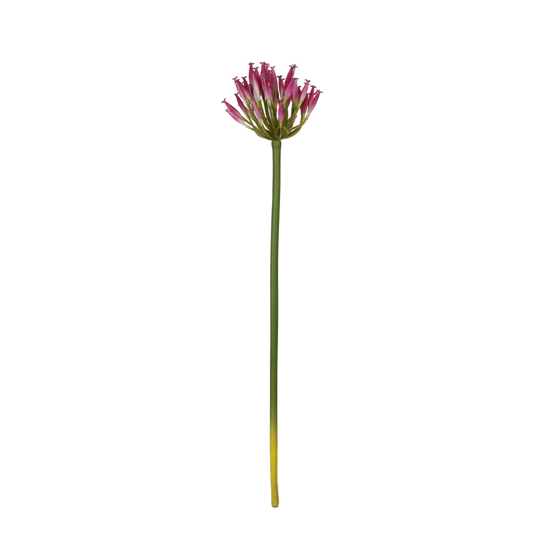 011211-7.jpg BOUVARDIA SPRAY