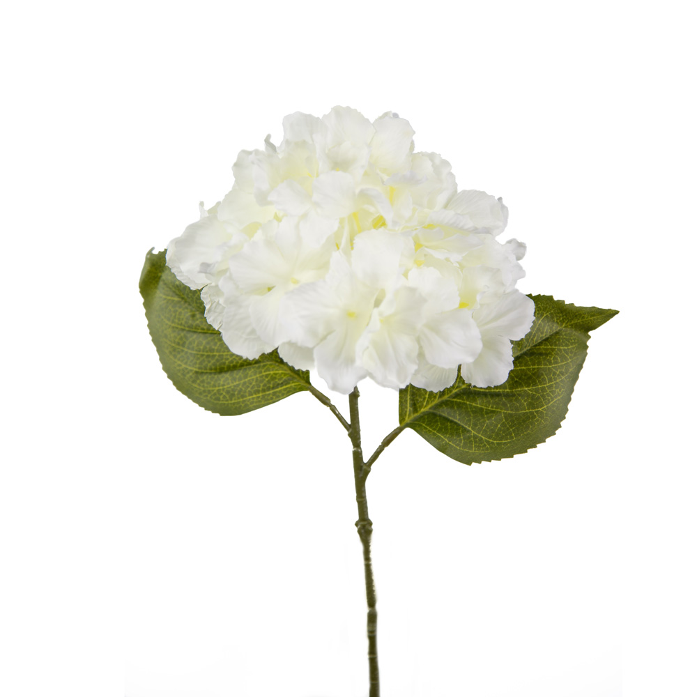 012515-0.jpg VARA HORTENSIA RIZADA