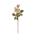 VARA ROSA