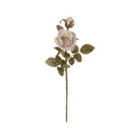 VARA ROSA