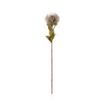 VARA PROTEA