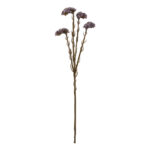 VARA STATIS