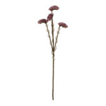 VARA STATIS