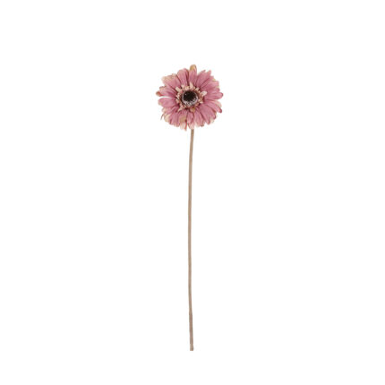 VARA GERBERA