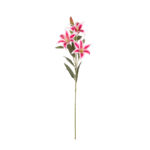 VARA LILIUM *FUXIA