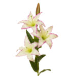 VARA LILIUM *FUXIA