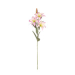 VARA LILIUM *FUXIA