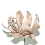 DALIA *ORO