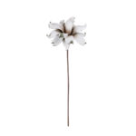 DALIA