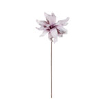 DALIA