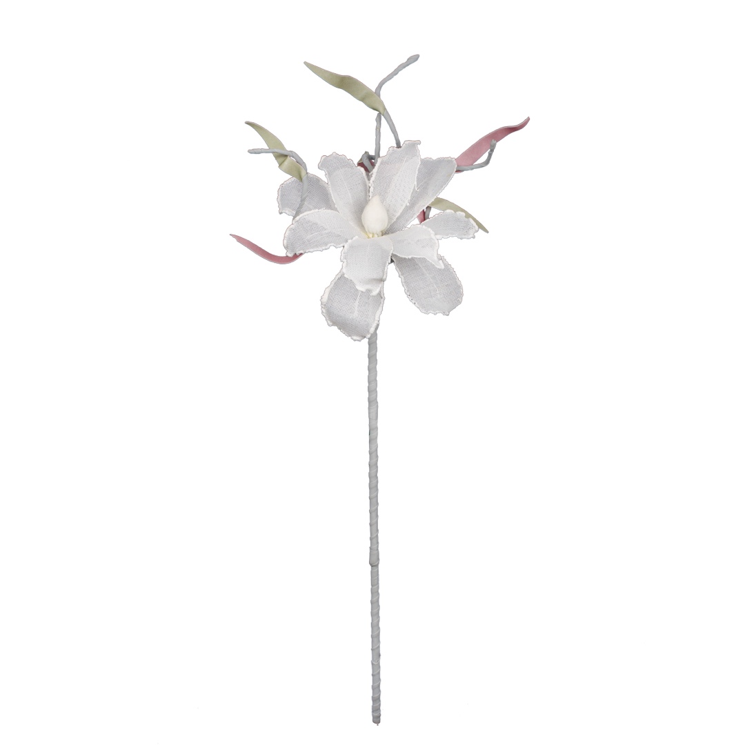 11375.jpg VARA MAGNOLIA