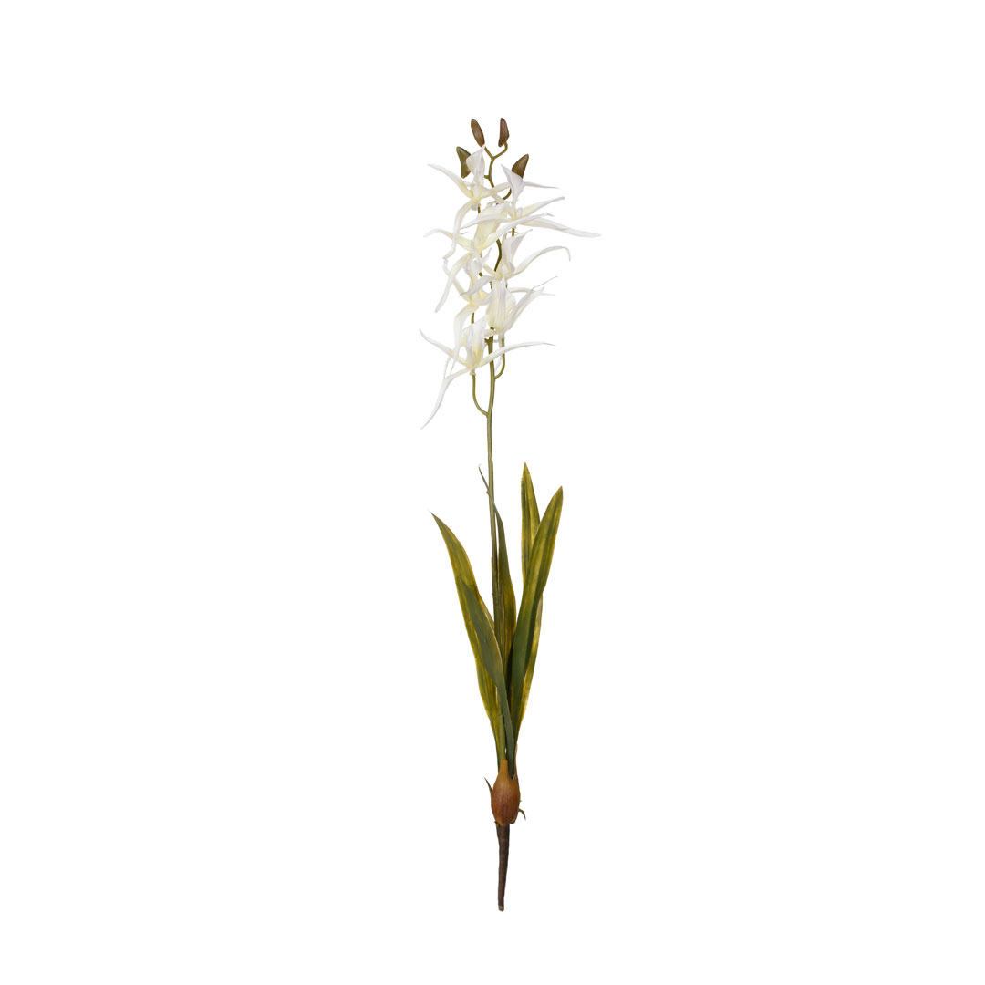 VARA ORQUIDEA