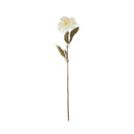 DALIA 66CM