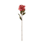 DALIA 66CM *BURBUNDY