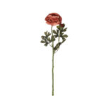 V.DALIA AFRICANA OTOÑAL