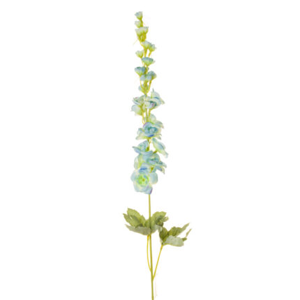 VARA DELPHINIUM