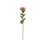 VARA ZINNIA OTOÑAL