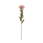 VARA ZINNIA OTOÑAL