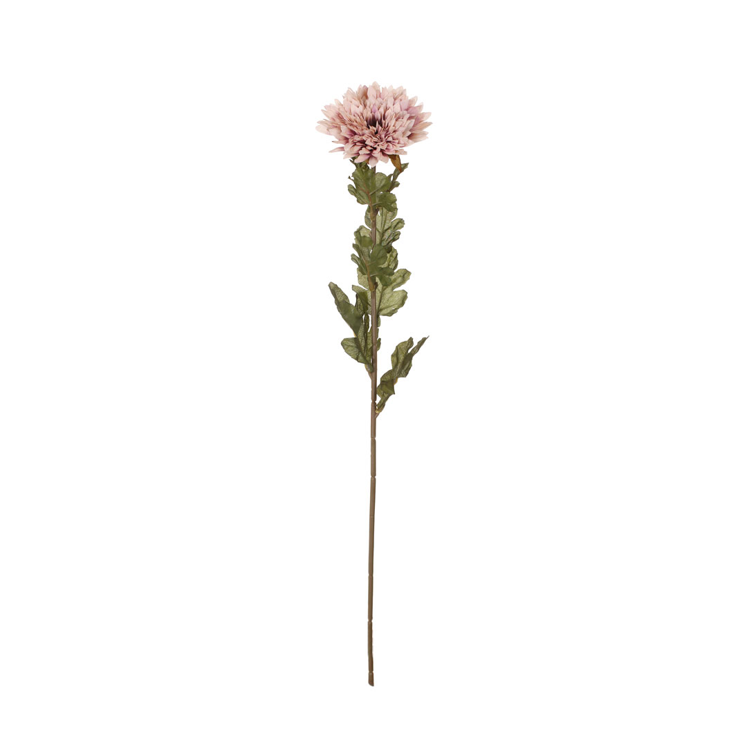 18018-34.jpg VARA ZINNIA OTOÑAL