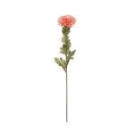VARA ZINNIA OTOÑAL