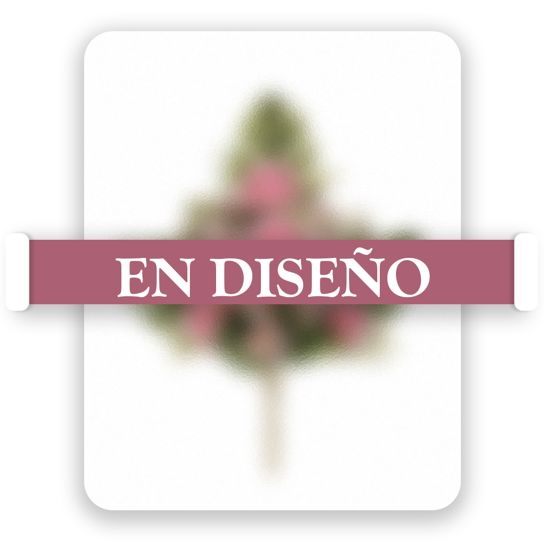 2199-19.jpg POMO HELECHO X12