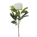 VARA PEONIA
