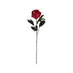 VARA PEONIA