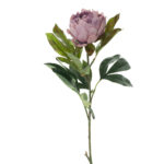 VARA PEONIA