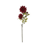 V.DALIA OTOÑAL X3